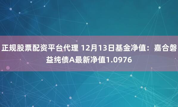 正规股票配资平台代理 12月13日基金净值：嘉合磐益纯债A最新净值1.0976