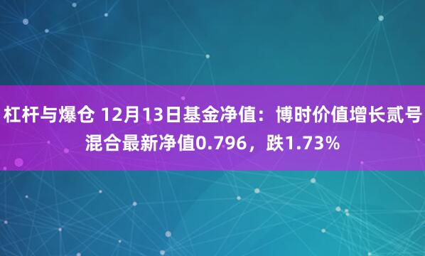 杠杆与爆仓 12月13日基金净值：博时价值增长贰号混合最新净值0.796，跌1.73%