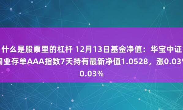 什么是股票里的杠杆 12月13日基金净值：华宝中证同业存单AAA指数7天持有最新净值1.0528，涨0.03%