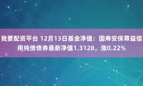 我要配资平台 12月13日基金净值：国寿安保尊益信用纯债债券最新净值1.3128，涨0.22%