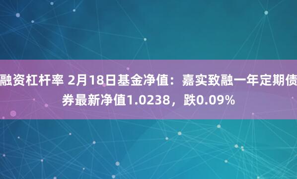 融资杠杆率 2月18日基金净值：嘉实致融一年定期债券最新净值1.0238，跌0.09%