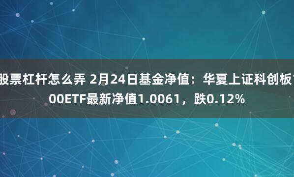 股票杠杆怎么弄 2月24日基金净值：华夏上证科创板100ETF最新净值1.0061，跌0.12%