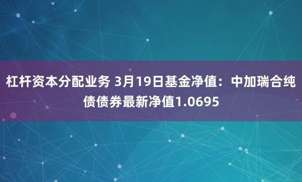 杠杆资本分配业务 3月19日基金净值：中加瑞合纯债债券最新净值1.0695